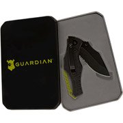 Guardian J-3 3