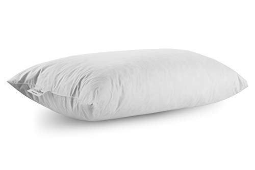 Comfydown 95 Feather 5 Down 14 X 24 Rectangle Decorative Pillow
