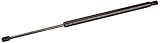 Sachs SG330077 Lift Support