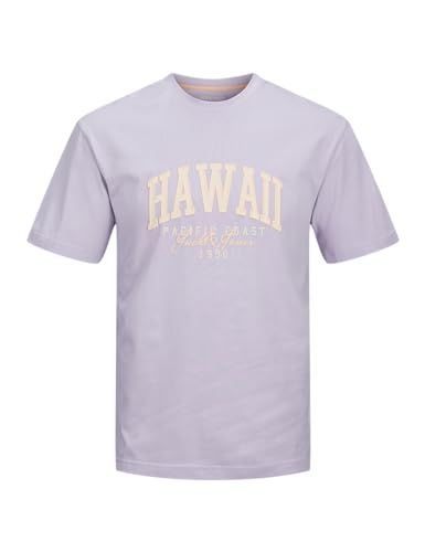 JACK & JONES Jjdetroit tee SS Crew Neck Jnr, Languid Lavender, 12 años Hombres