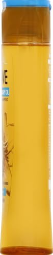 L'Oreal Paris Extraordinary Oil Nourishing Shampoo 12.6 oz