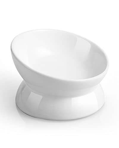 LoeJan Ceramic Elevated Cat Bowl