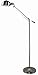 Verilux Brookfield Natural Spectrum Floor Lamp, All Metal Apothecary Lamp Inspired Design and Adjustable Head