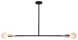 Renwil LPC4068 Two Light Ceiling Fixture, Matte