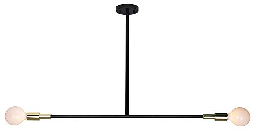 Renwil LPC4068 Two Light Ceiling Fixture, Matte