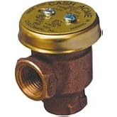 Cash Acme 1/2 Inch V-101 Anti-Siphon Vacuum Breaker, Brass Plumbing Fitting, 17383-0000
