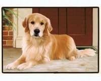 Fiddler's Elbow FED96 Golden Retriever Porch Doormat