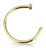 Gold Anodized Nose Ring Body Piercing Hoop 18g 5/16