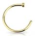 Gold Anodized Nose Ring Body Piercing Hoop 18g 1/4