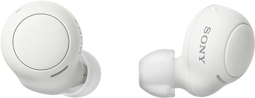 Sony True Wireless Headphones