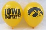 NCAA Iowa Hawkeyes Gold 10-Pack 11