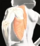 Human Anatomy- W/CD, Frederic H. Martini, Michael J. Timmons, Robert B. Tallitsch, 0007051123