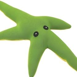 Ethical Pet Products (Spot) DSO5868 Water Buddy Starfish Dog Toy, 14-Inch, Green