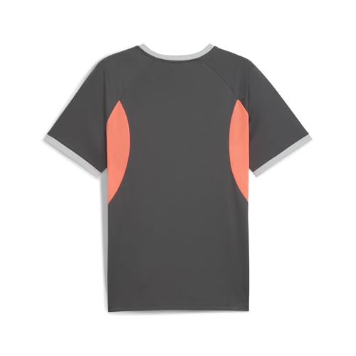 PUMA Individual T-shirt LIGA Man