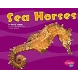 Sea Horses (Under the Sea)