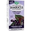 Sambucus Black Elderberry - Original