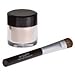 2 Pack L'oreal Paris Hip Studio Secrets Professional Shocking Shadow Pigments, 0.05 Ounce-102 Exciting