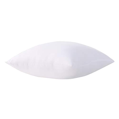 Acanva Throw Pillow Inserts Hypoallergenic Couch Stuffer Euro Sham Fillers, 20" x 20", White