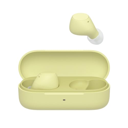 Sony WF-C510 Truly Wireless Kopfhörer - Kleine, leichte Bluetooth In-Ear-Kopfhörer mit Multipoint-Connection, Ambient Sound, IPX4 Rating, Spotify Tap,