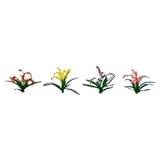 Flowering Plants Series: Flower Plants