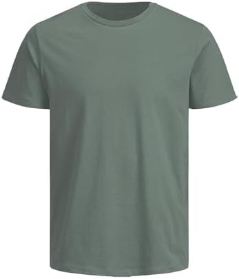 ISTANBUL MODEL Men T-Shirt, Pack of 1, Classic Fit (Light