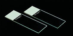 Premiere 9308W Water White Glass Slides, Positively Charged, Frosted End, Precleaned, White,Pack of 1440