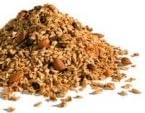 Golden Temple Granola Super Nutty, 25 pounds