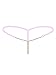 FasiCat Womens Lace Panties Thongs G-Strings sexy Pearls Stretchy Tangas for Women Pink