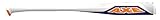 Axe Bat 2019 GS4 USSSA Baseball Bat(-10) 29 inch/19