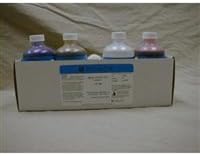 Troy Biologicals Vgk-200 Stains Gram Stain Set (Each)