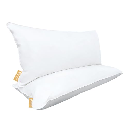 2 Almohadas Hoteleras King - Pluma de Ganso (Down) Alternativo Hoteles 5 Estrellas - Hipoalergenico 100% Algodón King Size 50x90cm Soporte Suave