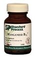 Standard Process Manganese B12 90 tablets