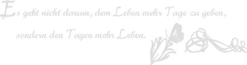 Indigos Wall Sticker, Vinyl, Silber, 120 x 31 cm