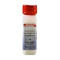 Thuja Occid. 6x 6x 250 tablets by Hyland's