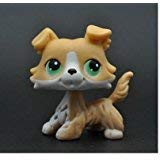 Five Stars Store Littlest Pet Shop Without Magnet Pet Collie Dog Child Girl Figure Toy Loose Cute