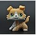 Five Stars Store Littlest Pet Shop Without Magnet Pet Collie Dog Child Girl Figure Toy Loose Cute