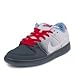 Nike Men's Dunk Low Premium SB Skate Shoe