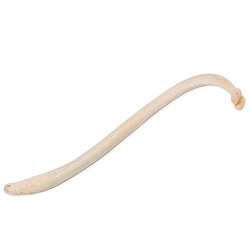 3 Toothpick+Enhancement+American+Heritage+Industries