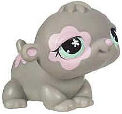 best little pets to have