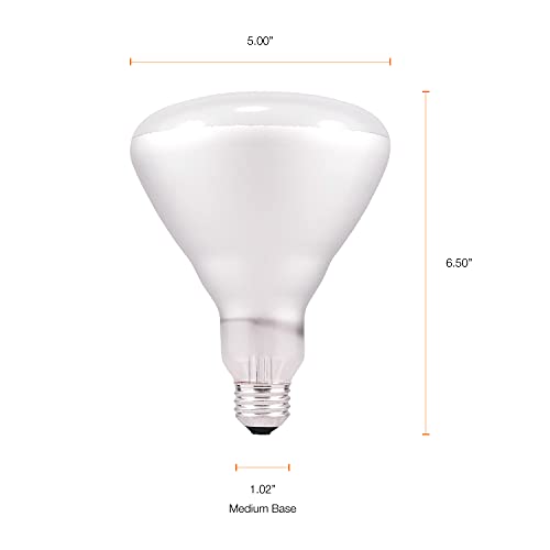 SYLVANIA Incandescent 65W BR40 Flood Light Bulb, 540 Lumens, 130 Volt, E26 Medium Base, 2850K