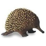 Science and Nature 75456 Large Echidna - Animals of Australia Monotreme Realistic Toy Replica