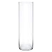 Royal Imports Flower Glass Vase Decorative Centerpiece for Home or Wedding - Cylinder Shape, 16