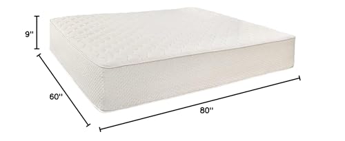 Latex for Less LFL2S0905 9 inch Queen Natural Latex