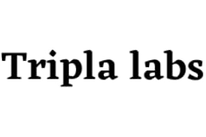 Tripla AI Labs