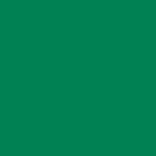Vinyl Ease 12" x 40 ft Roll Glossy Green Permanent Adhesive Vinyl for Cricut, Silhouette, Pazzles, Craft ROBO, QuicKutz, Craft Cutters, Die Cutters, Sign Plotters - V0447