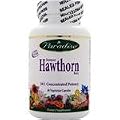 Hawthorn - European