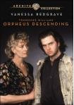 Wireless Phone Accessory Orpheus Descending Book