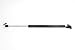 6102 Fits Lexus RX300 1999-2003 Liftgate Lift Supports Strut, Set of 2