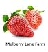 Oat Bran, 80 Ounces or 5 Pounds USDA Certified Organic, Non-GMO Bulk, Mulberry Lane Farms