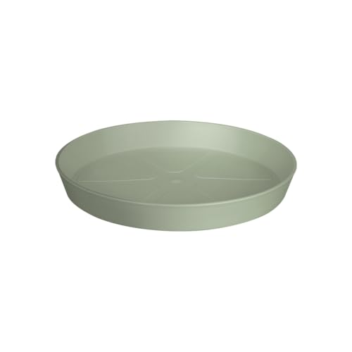Elho Loft Urban Saucer Round 34 - Plato por Exterior Accesorios - Ø 34.3 x H 5.0 cm - Verde/Thyme Green
